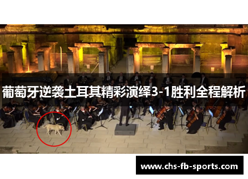 葡萄牙逆袭土耳其精彩演绎3-1胜利全程解析