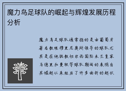 魔力鸟足球队的崛起与辉煌发展历程分析